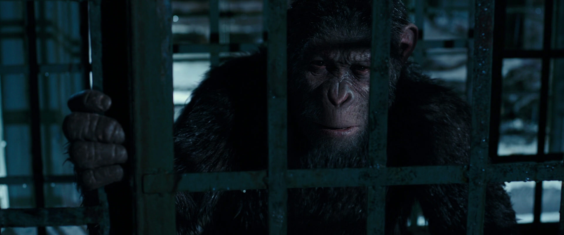 War for the Planet of the Apes (2017) movie still 11434