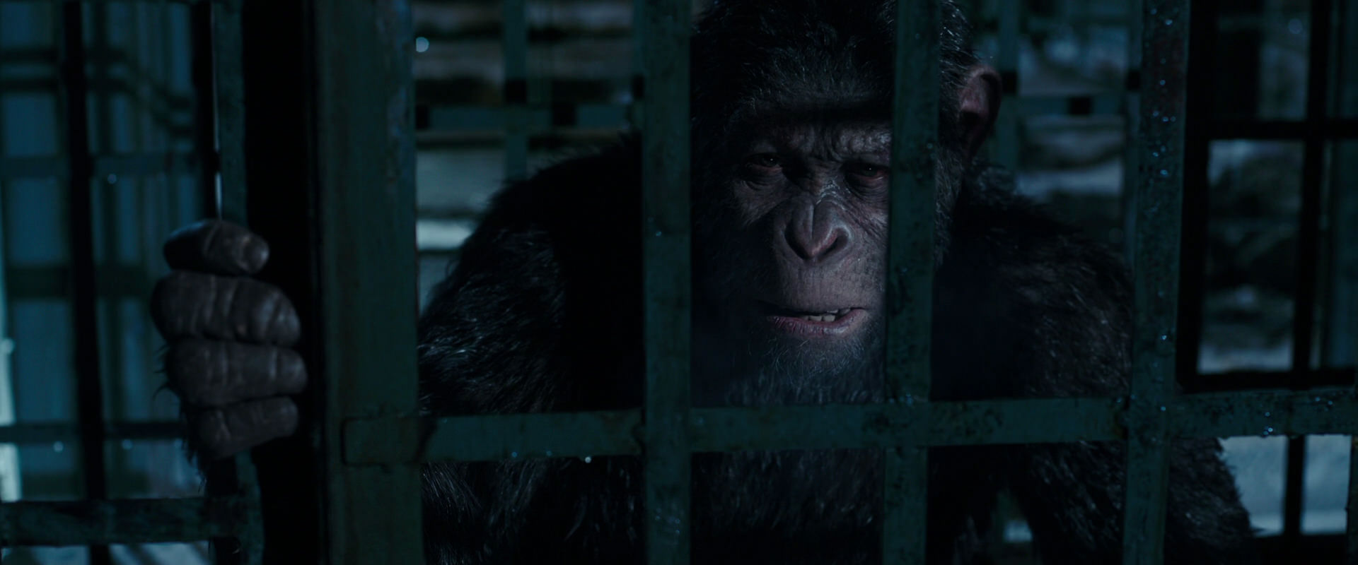 War for the Planet of the Apes (2017) HD screenshot 11435