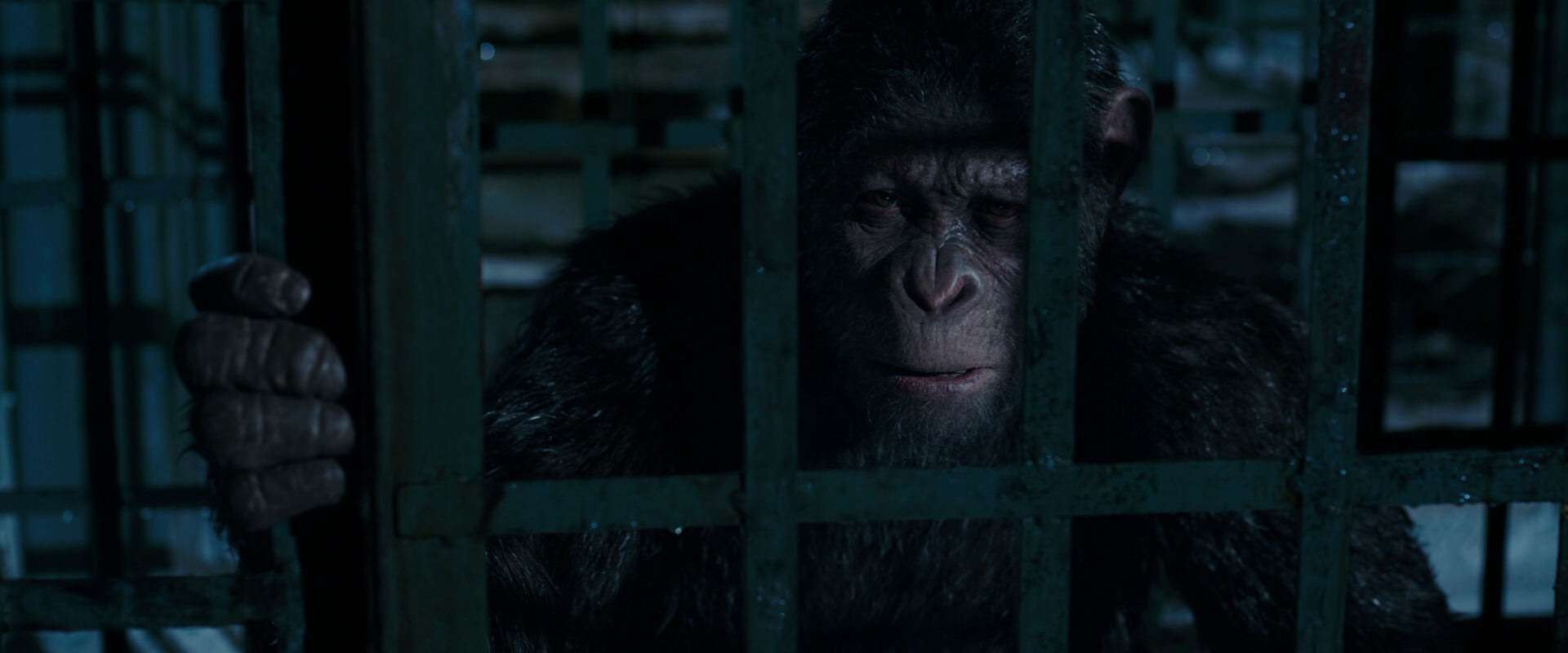 War for the Planet of the Apes (2017) screencap 11436