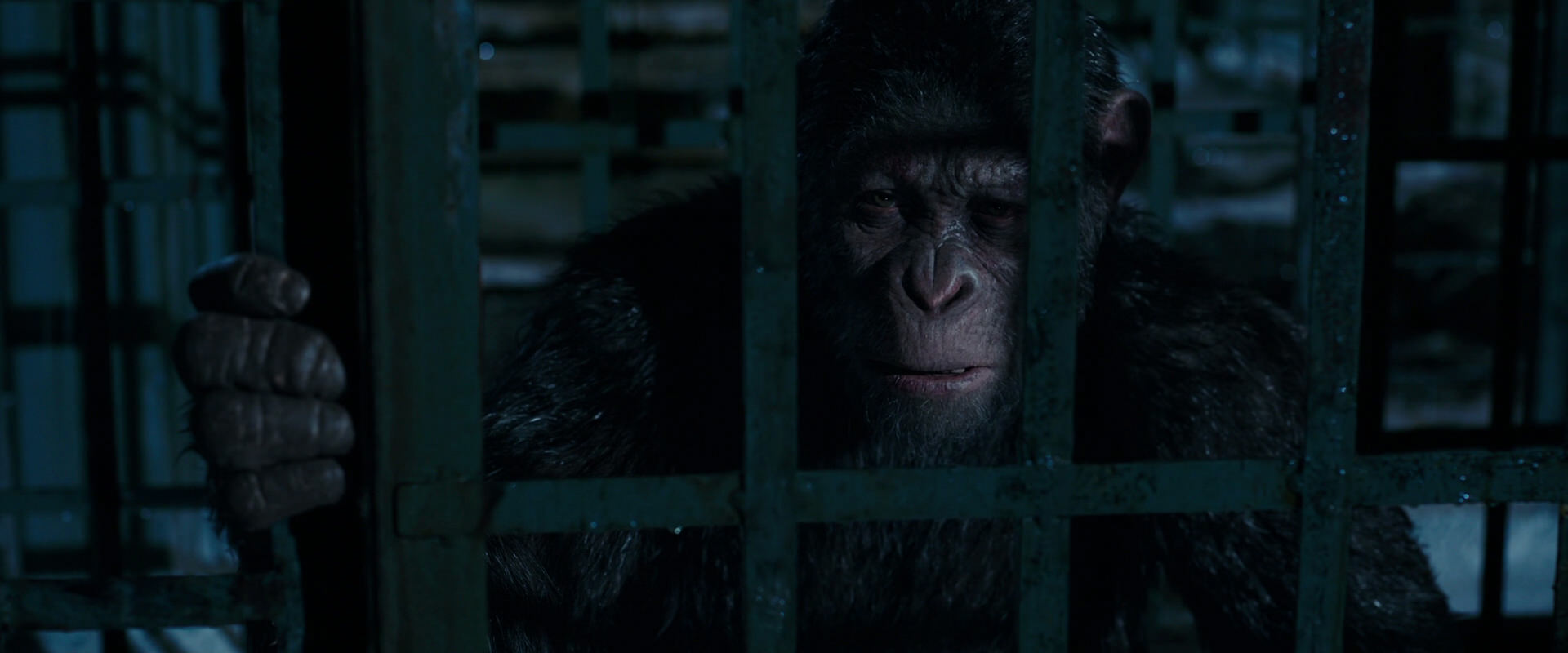 War for the Planet of the Apes (2017) movie still 11437