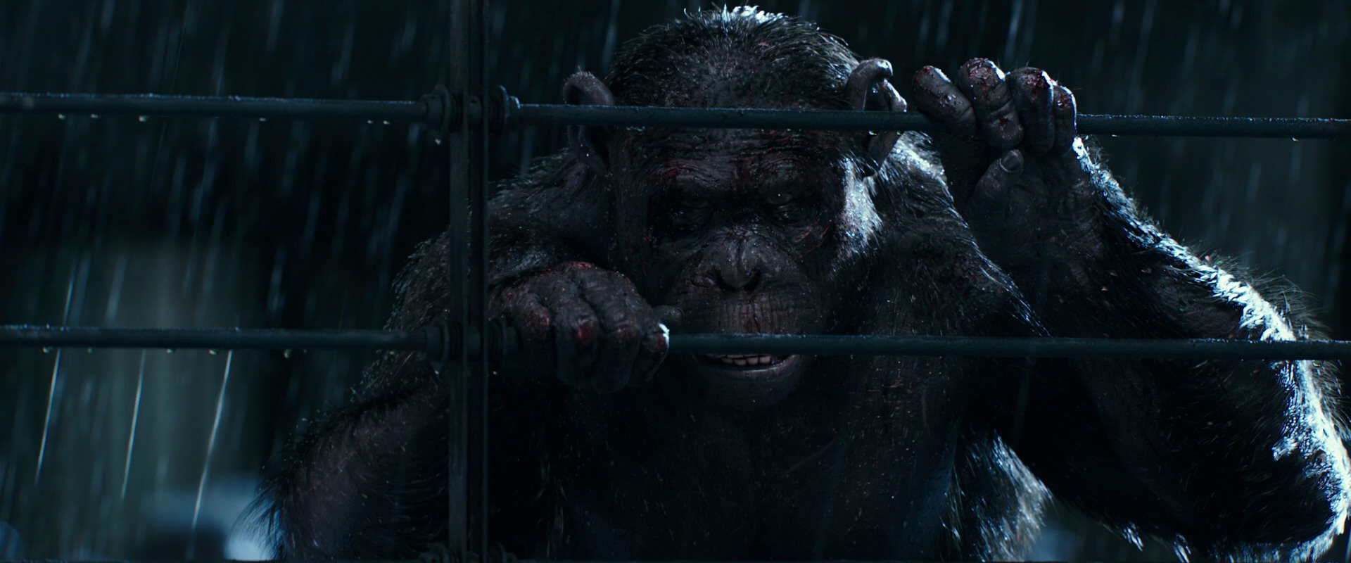 War for the Planet of the Apes (2017) HD screenshot 11438