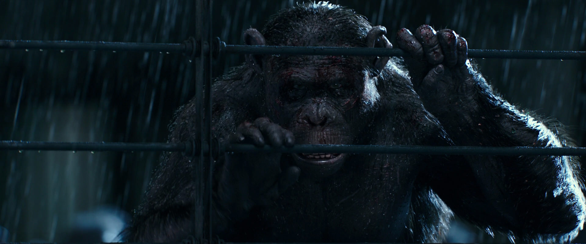 War for the Planet of the Apes (2017) screencap 11439