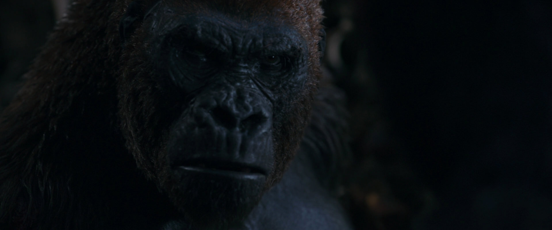 War for the Planet of the Apes (2017) movie still 1144