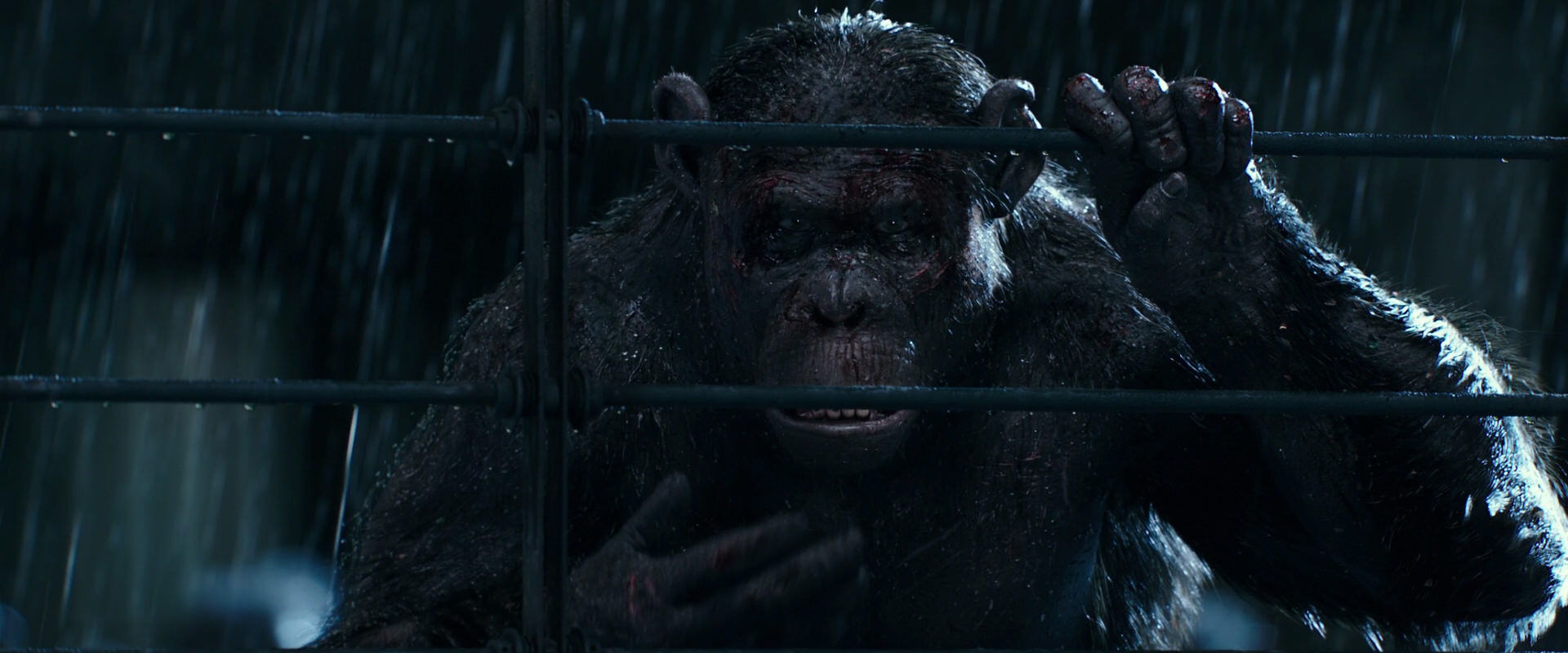 War for the Planet of the Apes (2017) movie still 11440
