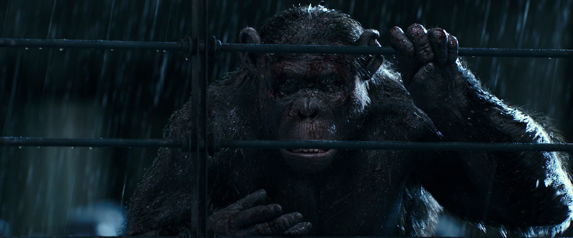 War for the Planet of the Apes (2017) HD screenshot 11441
