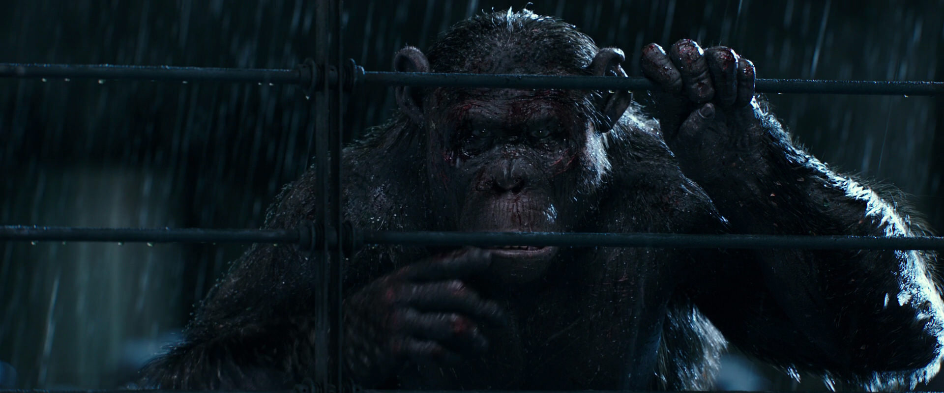 War for the Planet of the Apes (2017) screencap 11442