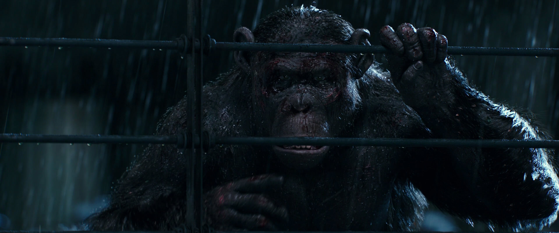 War for the Planet of the Apes (2017) movie still 11443