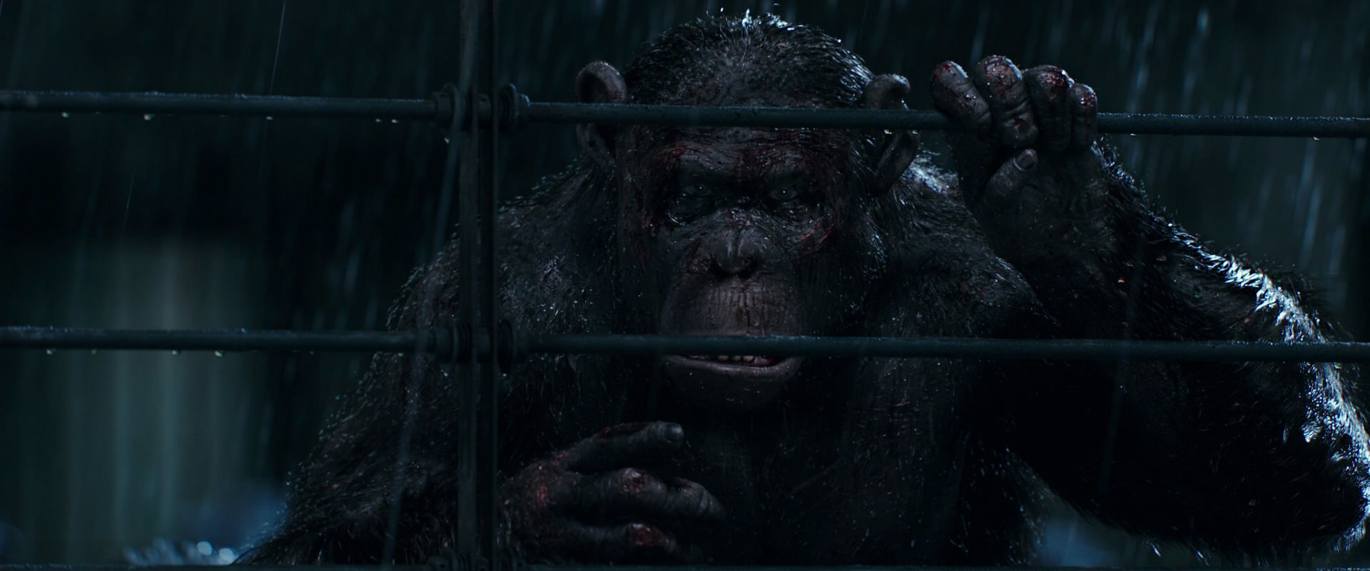War for the Planet of the Apes (2017) HD screenshot 11444