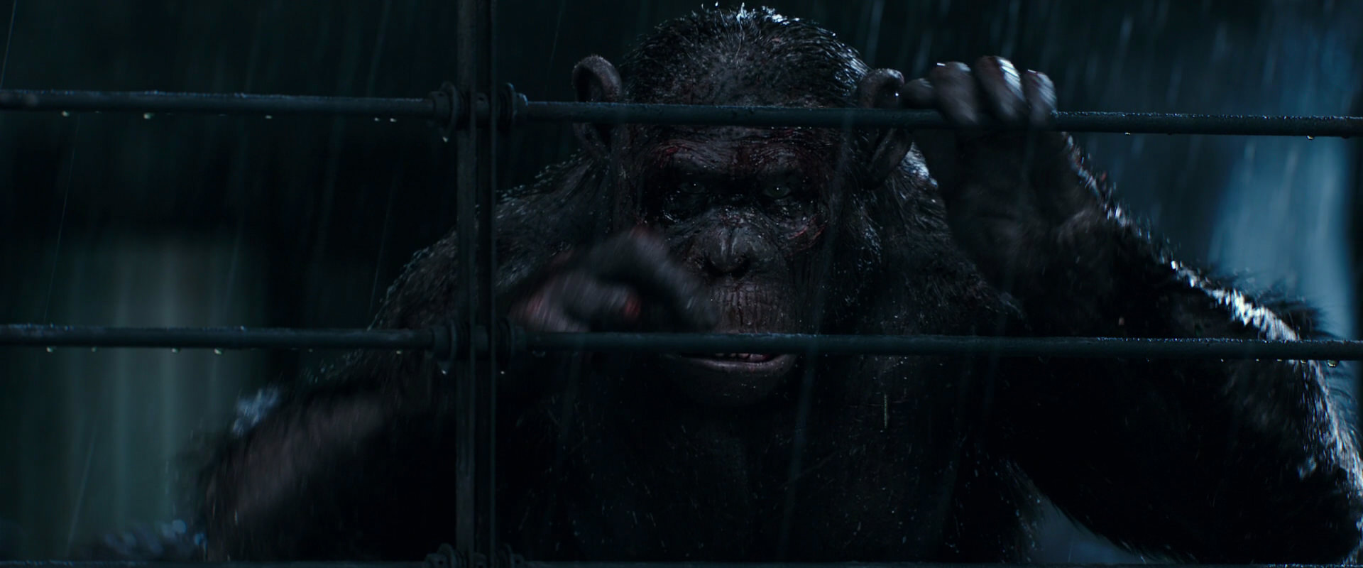 War for the Planet of the Apes (2017) screencap 11445