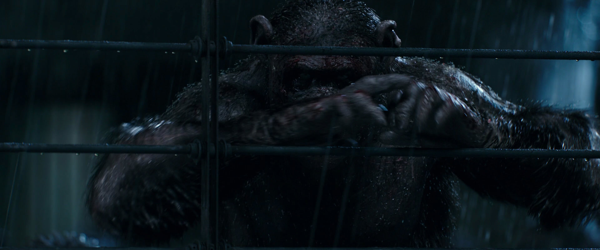 War for the Planet of the Apes (2017) movie still 11446
