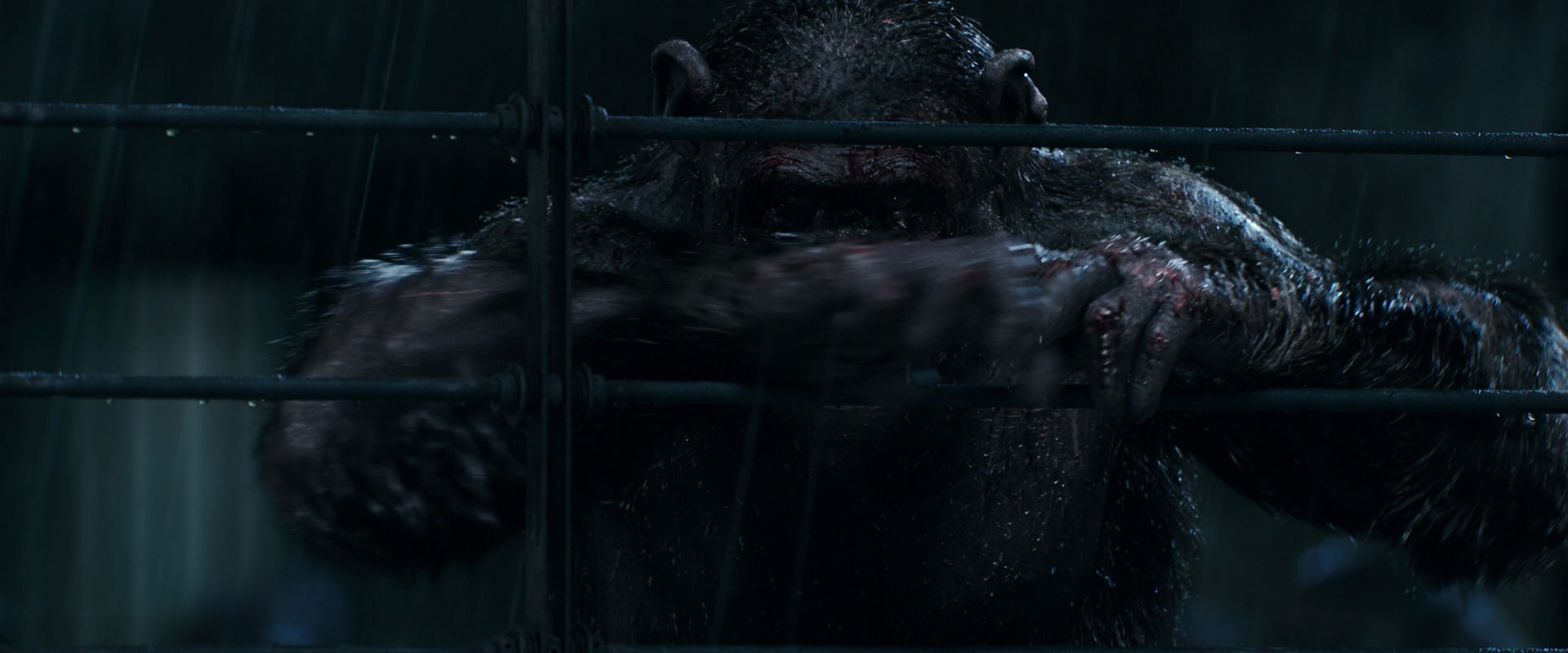 War for the Planet of the Apes (2017) HD screenshot 11447