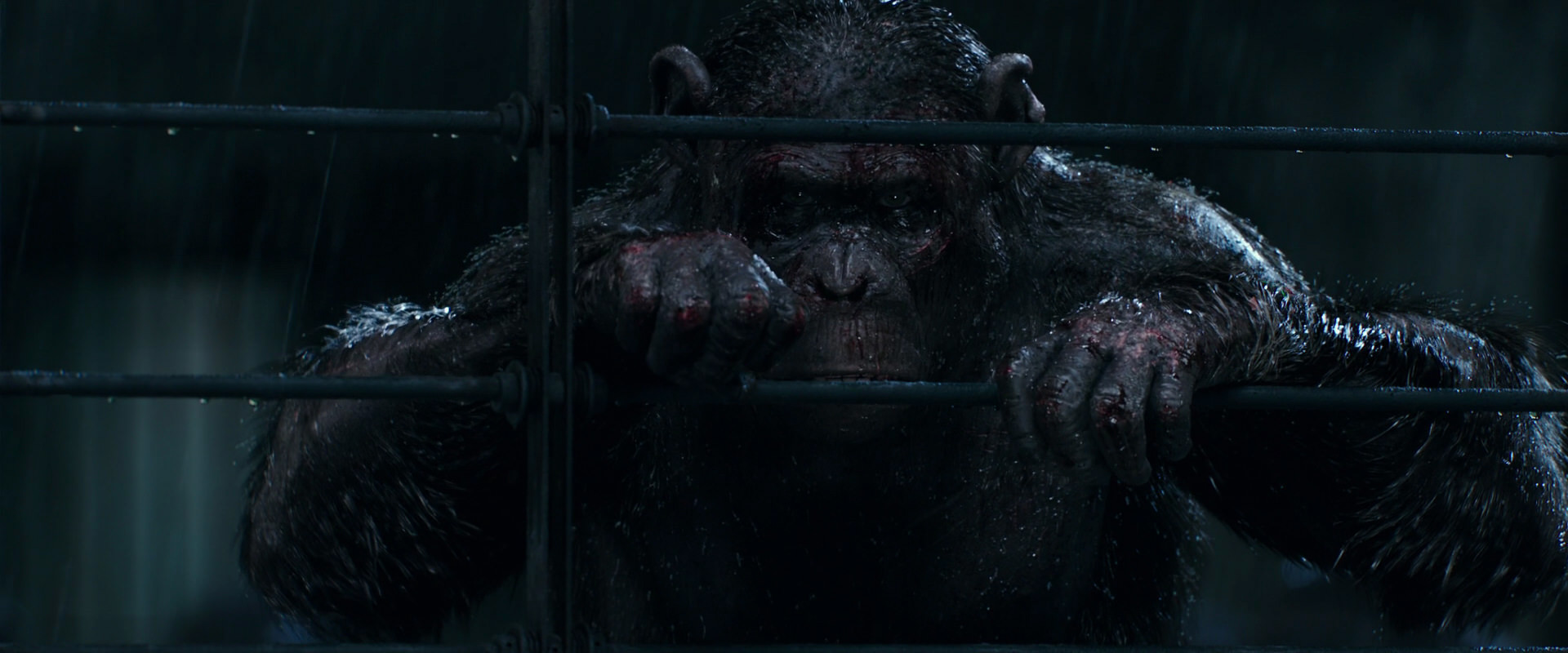 War for the Planet of the Apes (2017) screencap 11448