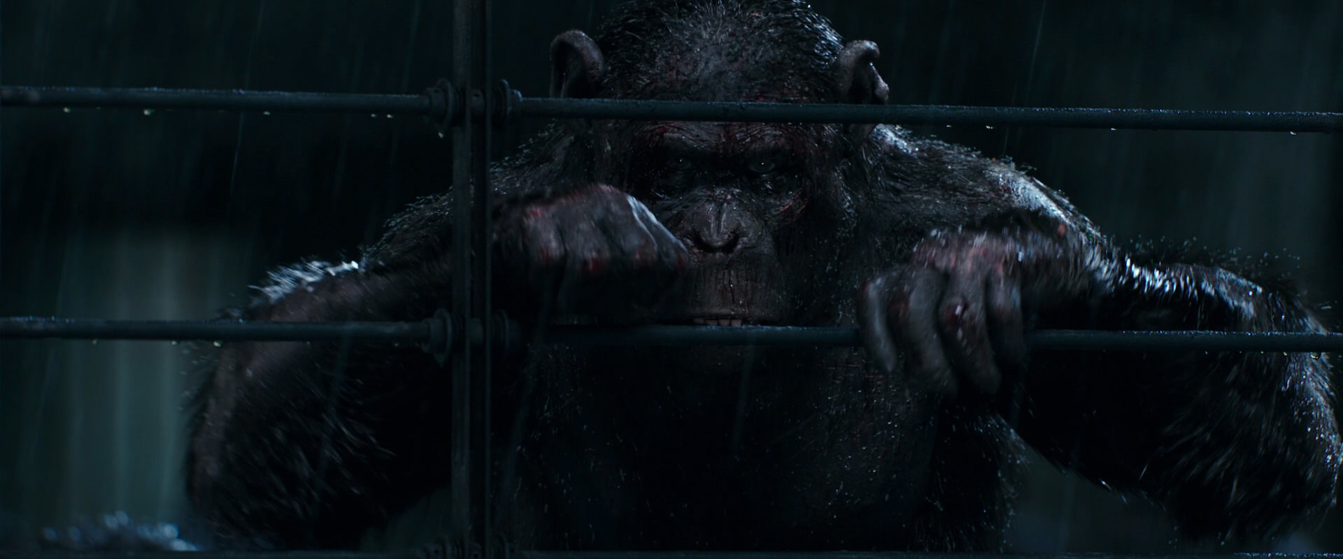 War for the Planet of the Apes (2017) movie still 11449