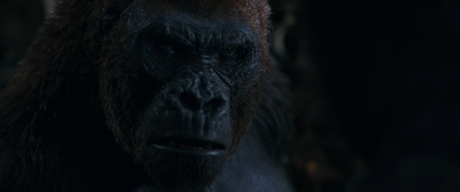 War for the Planet of the Apes (2017) HD screenshot 1145