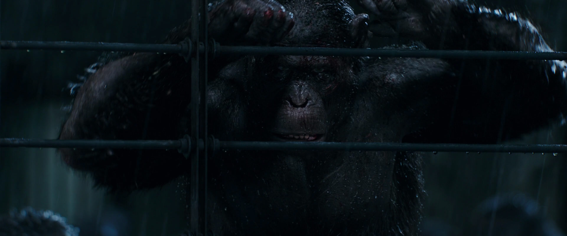 War for the Planet of the Apes (2017) HD screenshot 11450