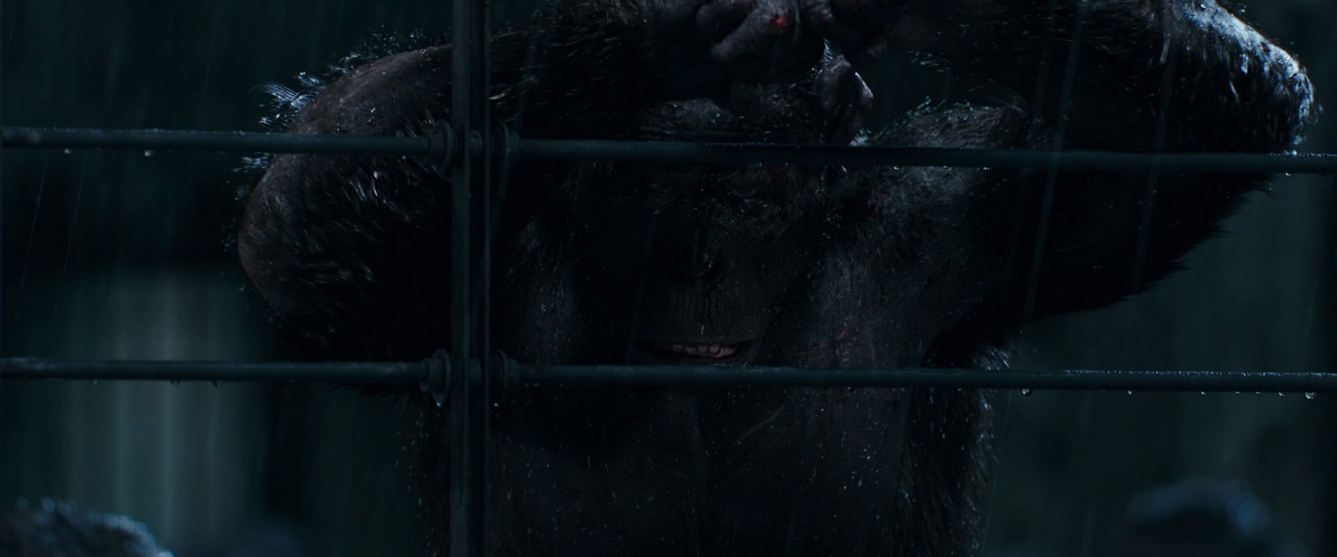 War for the Planet of the Apes (2017) screencap 11451