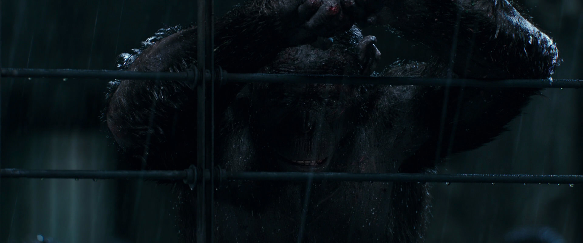 War for the Planet of the Apes (2017) movie still 11452