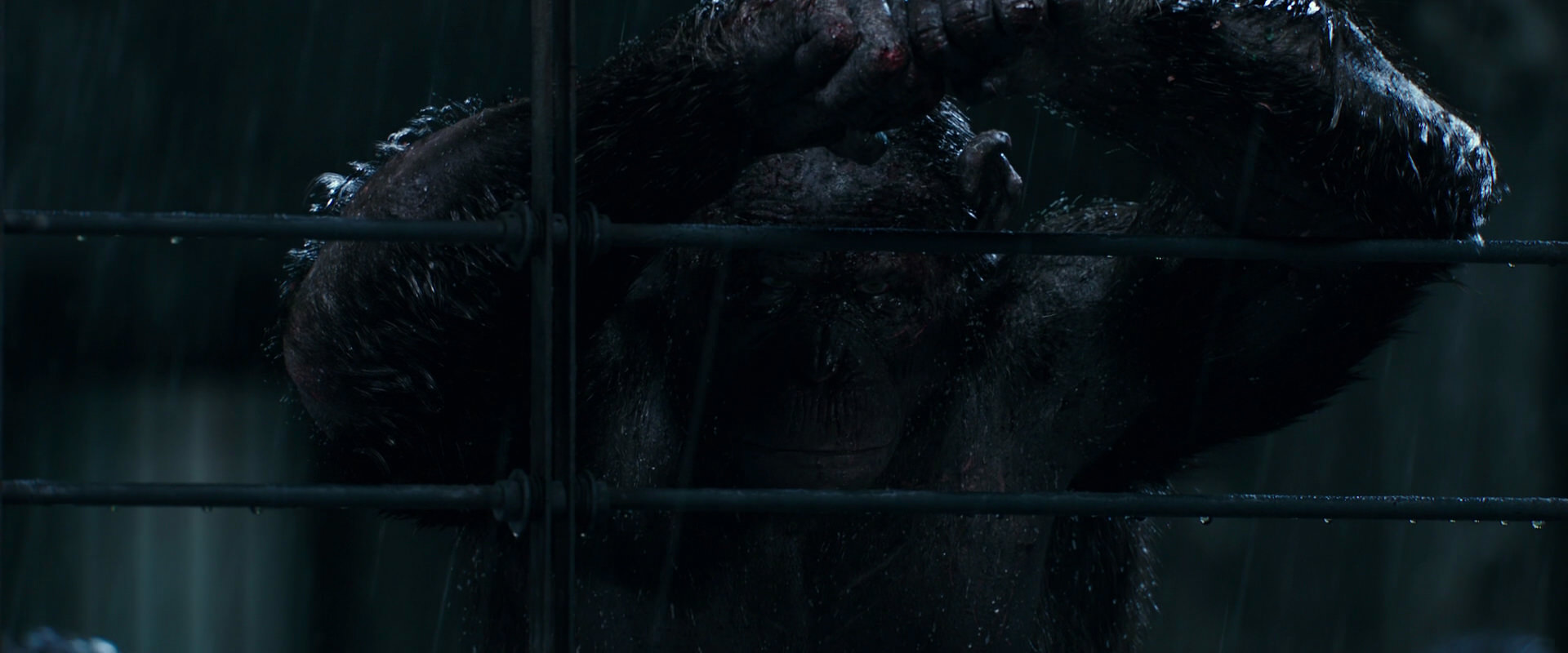 War for the Planet of the Apes (2017) HD screenshot 11453