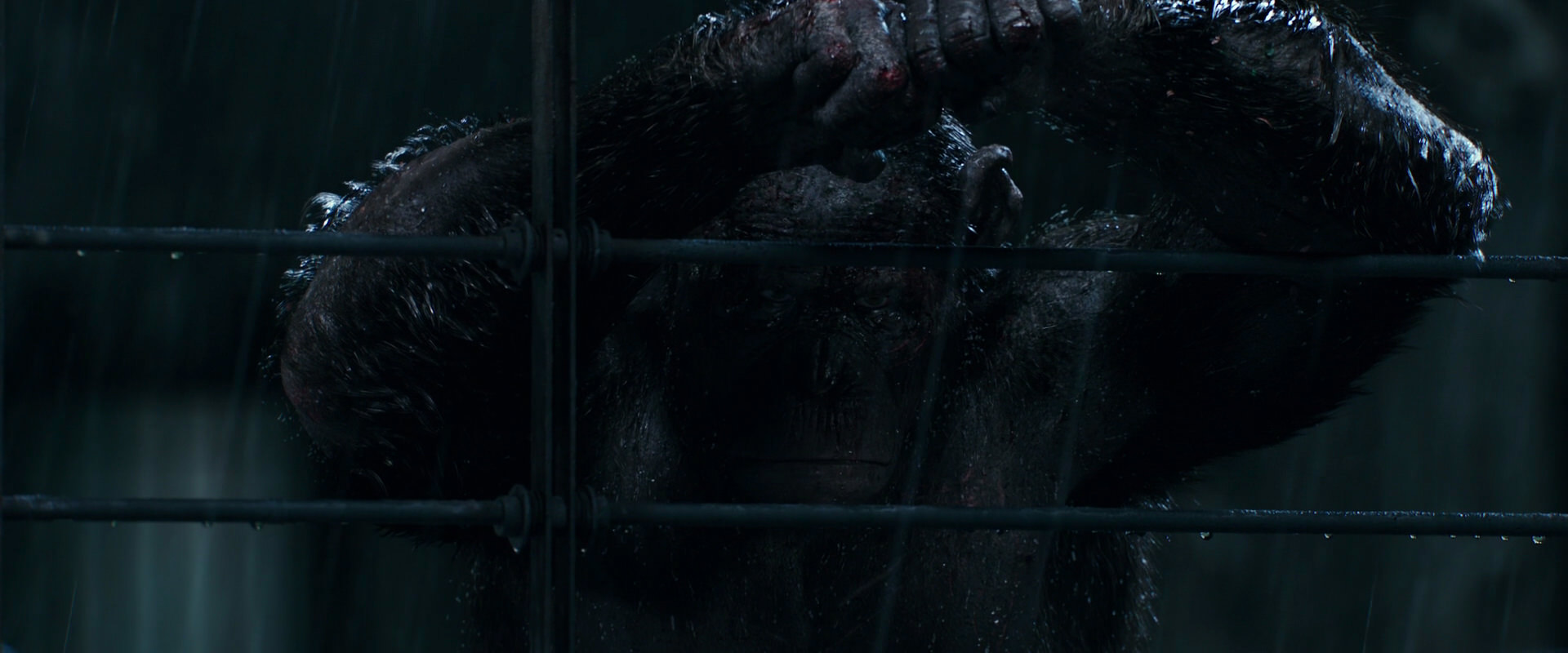 War for the Planet of the Apes (2017) screencap 11454