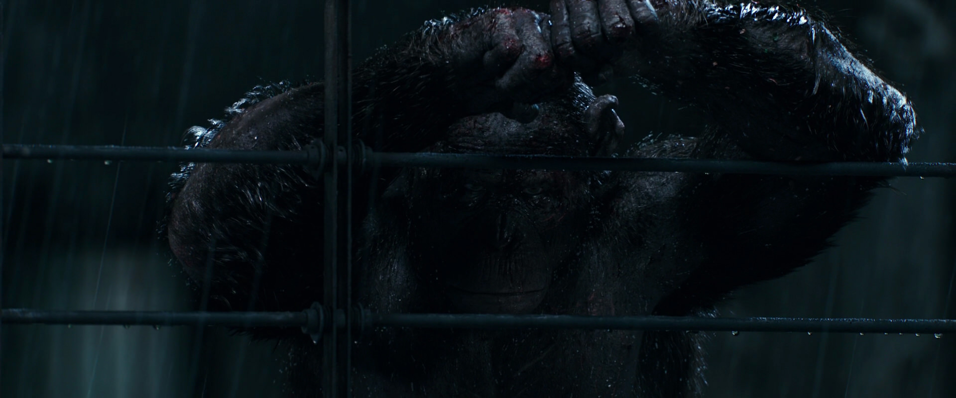 War for the Planet of the Apes (2017) movie still 11455
