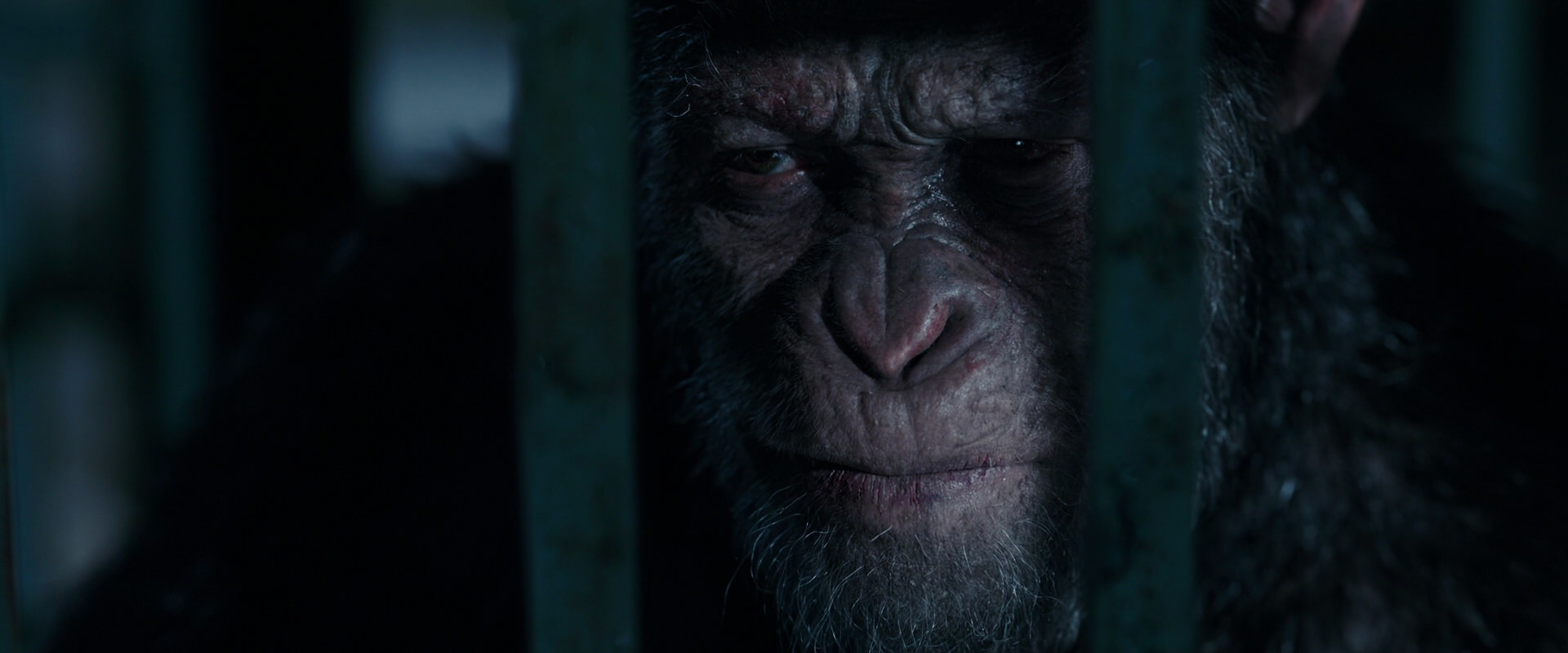 War for the Planet of the Apes (2017) screencap 11457