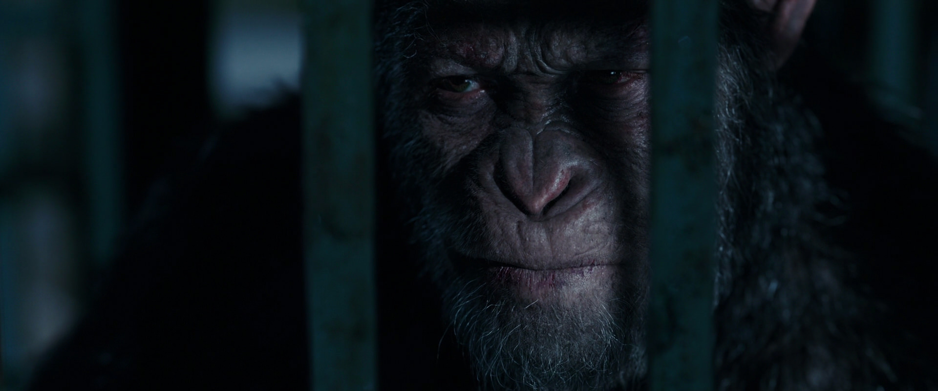 War for the Planet of the Apes (2017) HD screenshot 11459
