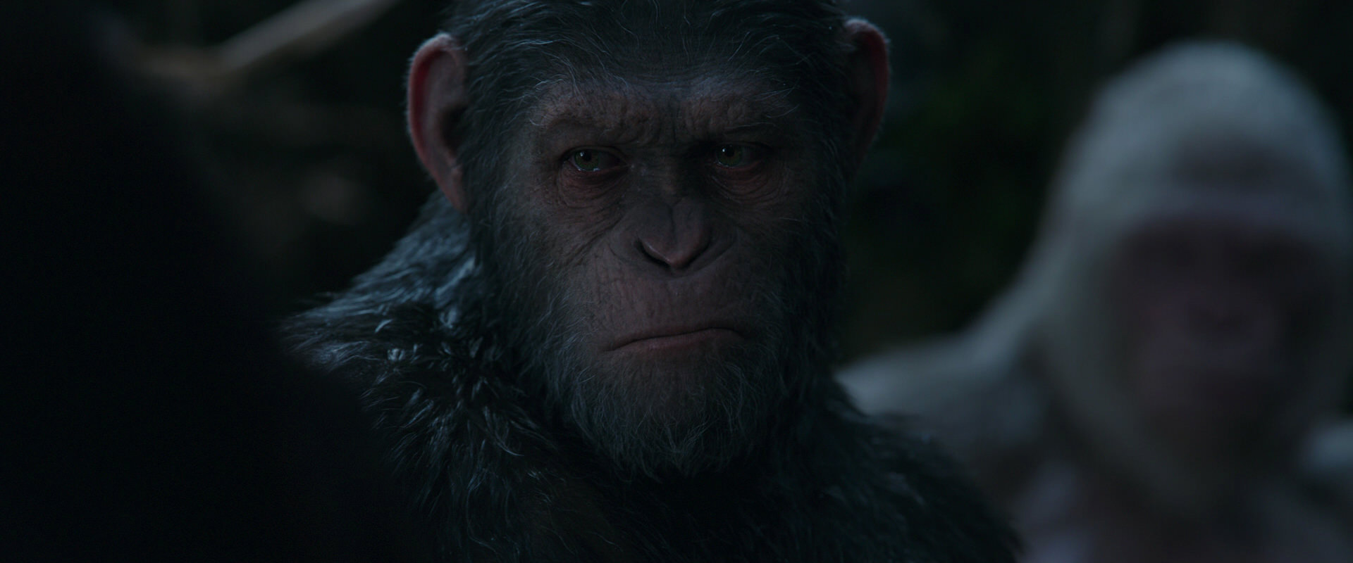 War for the Planet of the Apes (2017) screencap 1146