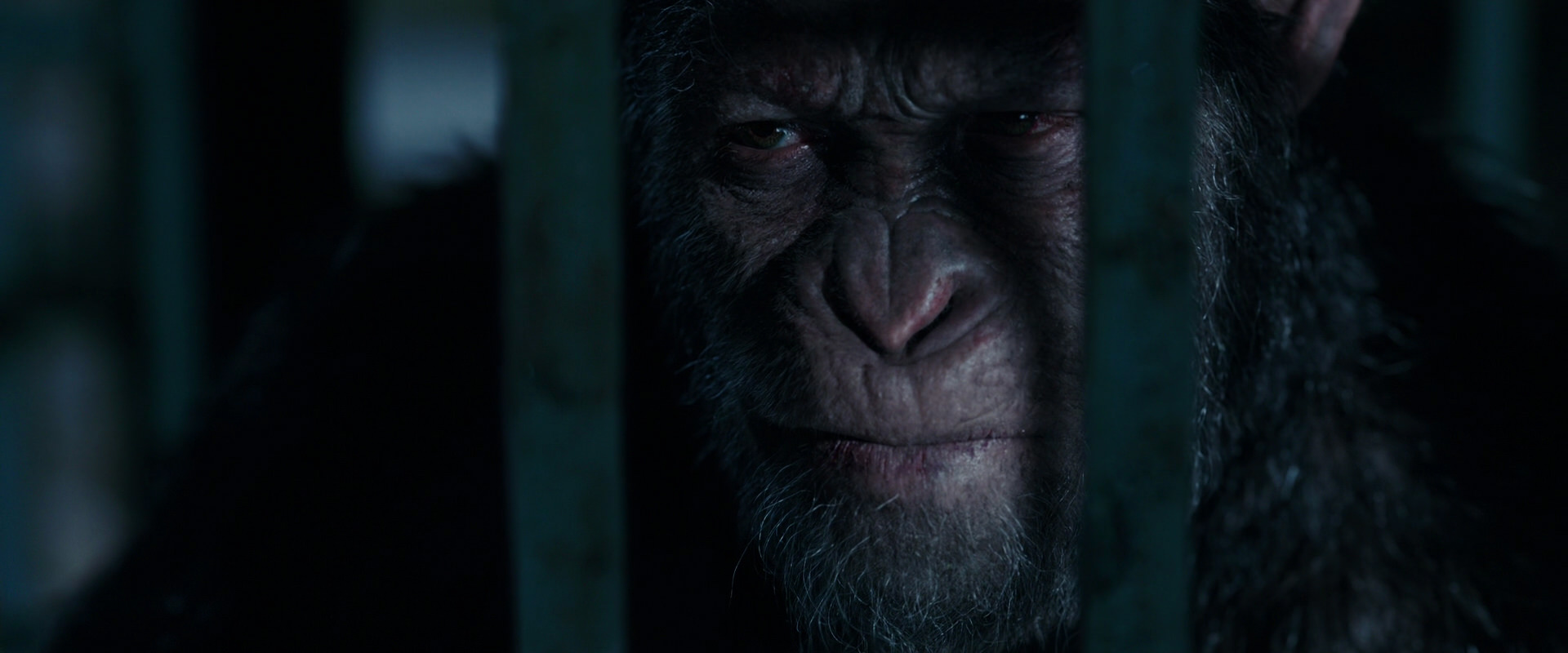 War for the Planet of the Apes (2017) screencap 11460