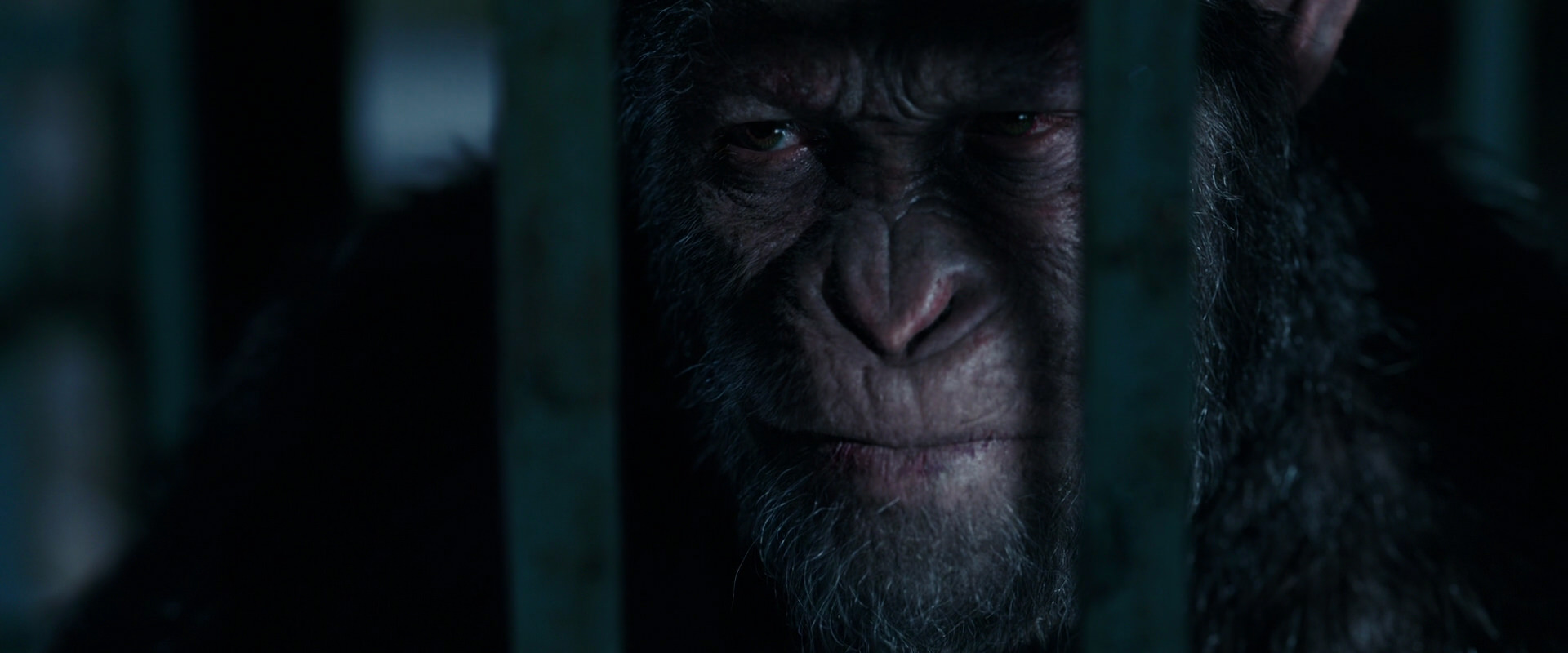War for the Planet of the Apes (2017) movie still 11461