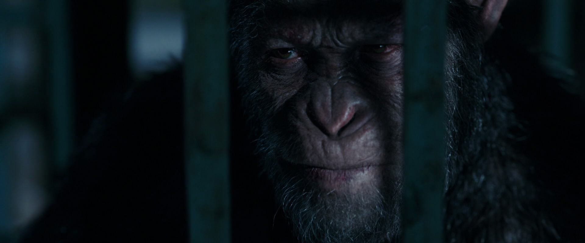 War for the Planet of the Apes (2017) HD screenshot 11462