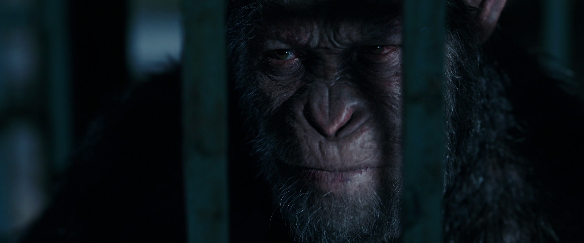 War for the Planet of the Apes (2017) screencap 11463