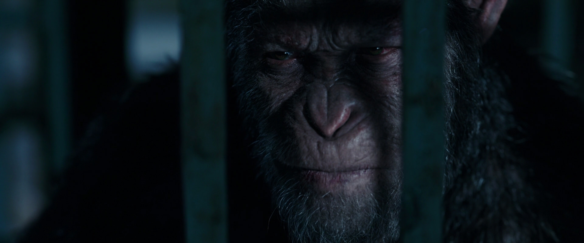War for the Planet of the Apes (2017) movie still 11464