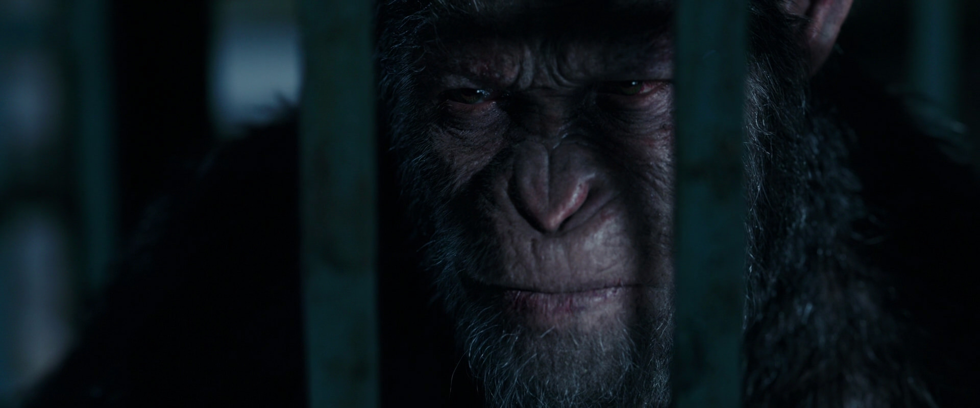 War for the Planet of the Apes (2017) HD screenshot 11465