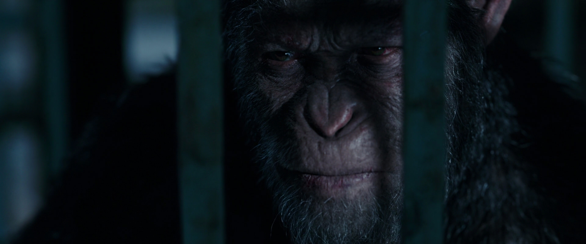 War for the Planet of the Apes (2017) screencap 11466