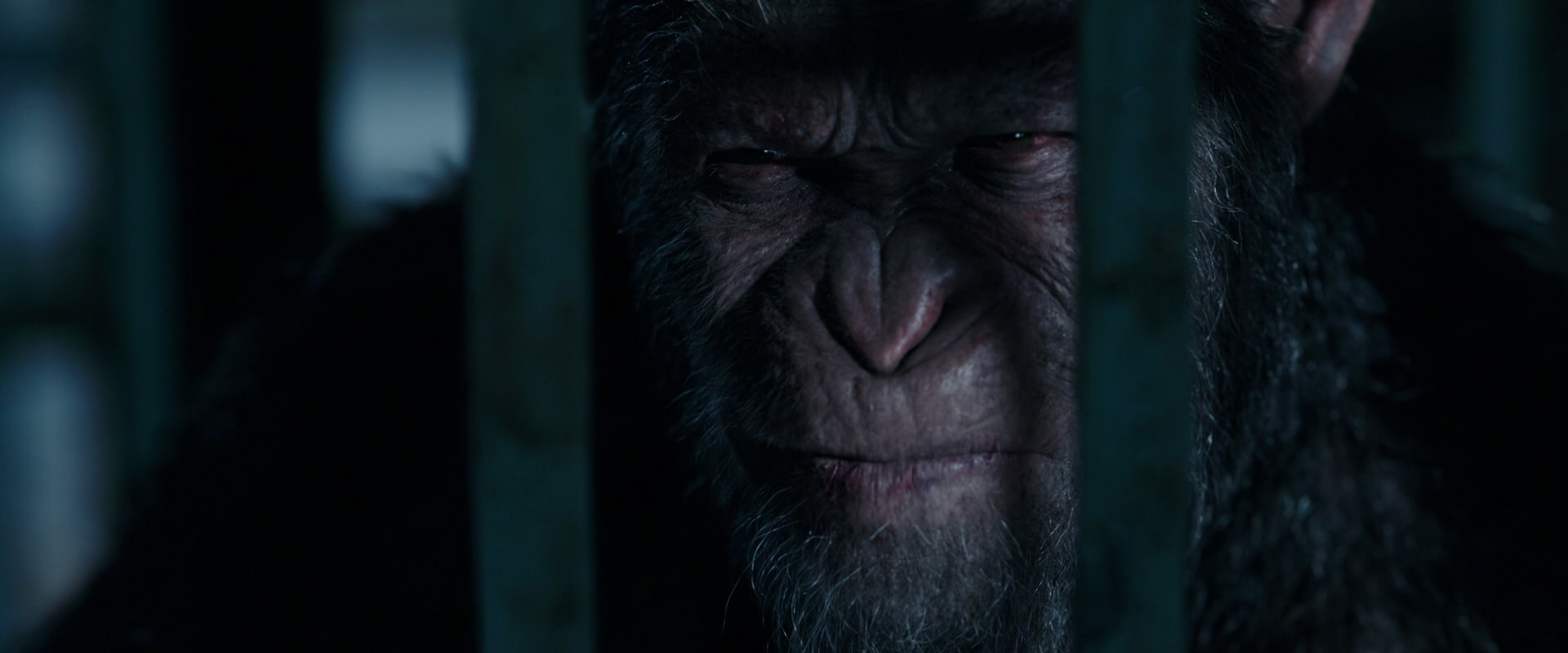 War for the Planet of the Apes (2017) movie still 11467