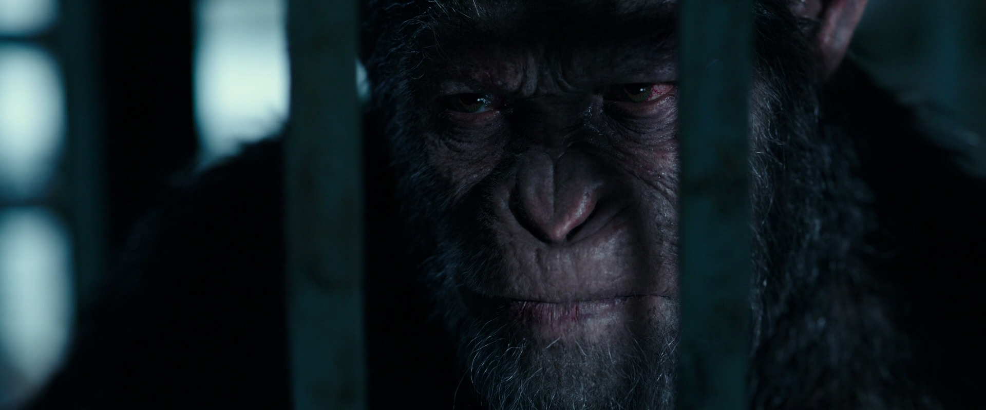 War for the Planet of the Apes (2017) screencap 11469