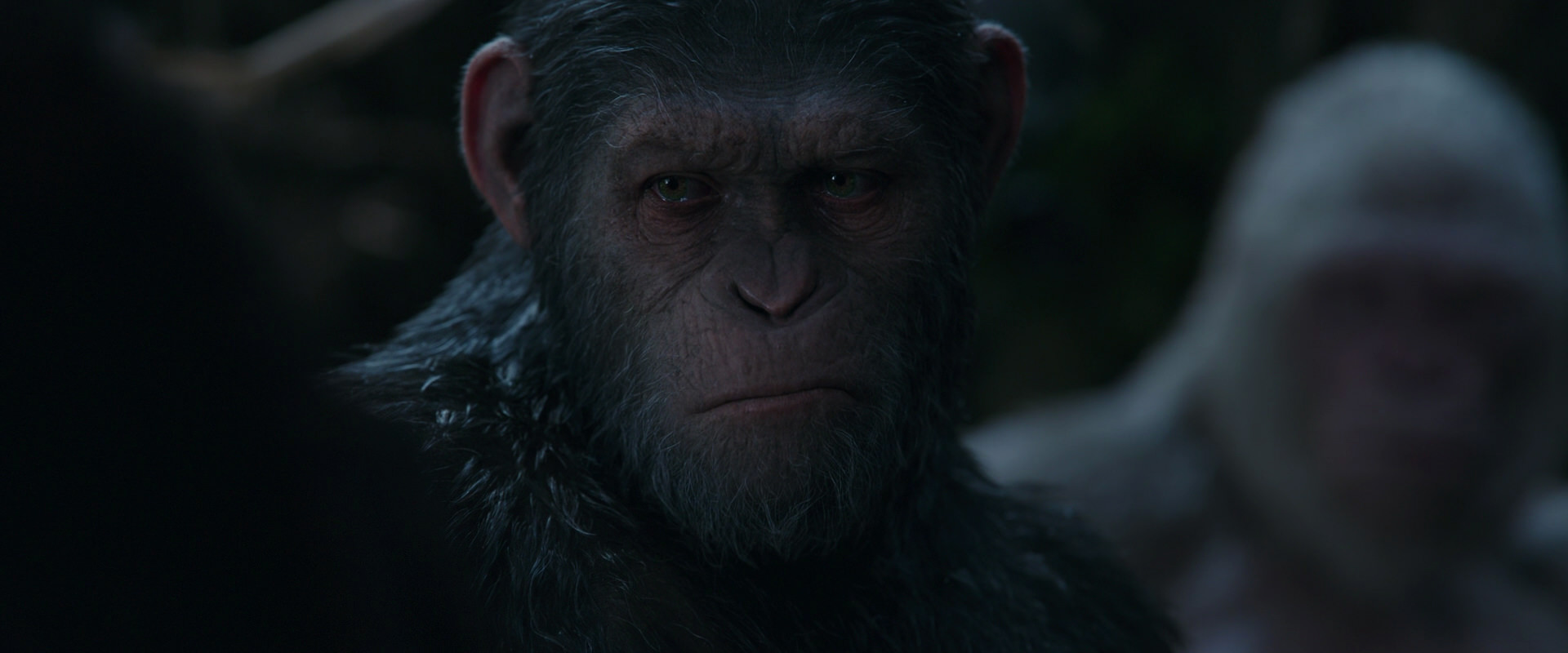 War for the Planet of the Apes (2017) movie still 1147