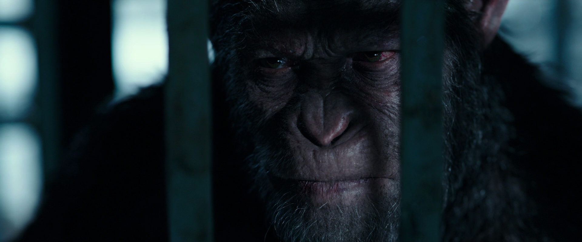 War for the Planet of the Apes (2017) movie still 11470
