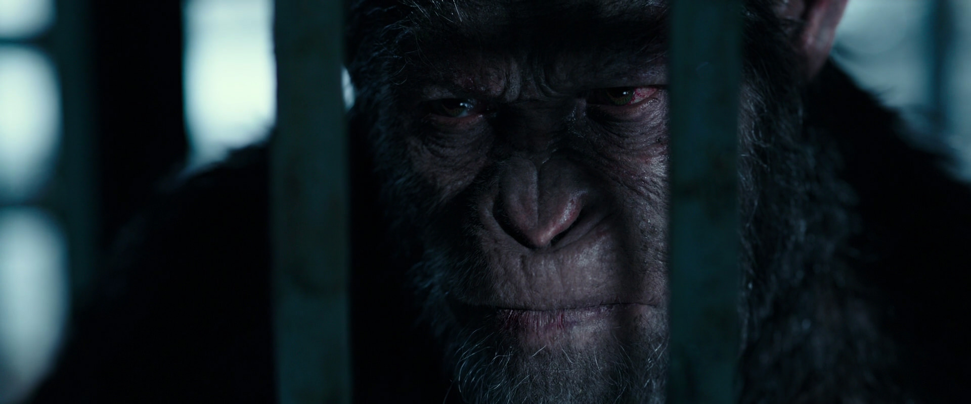 War for the Planet of the Apes (2017) HD screenshot 11471