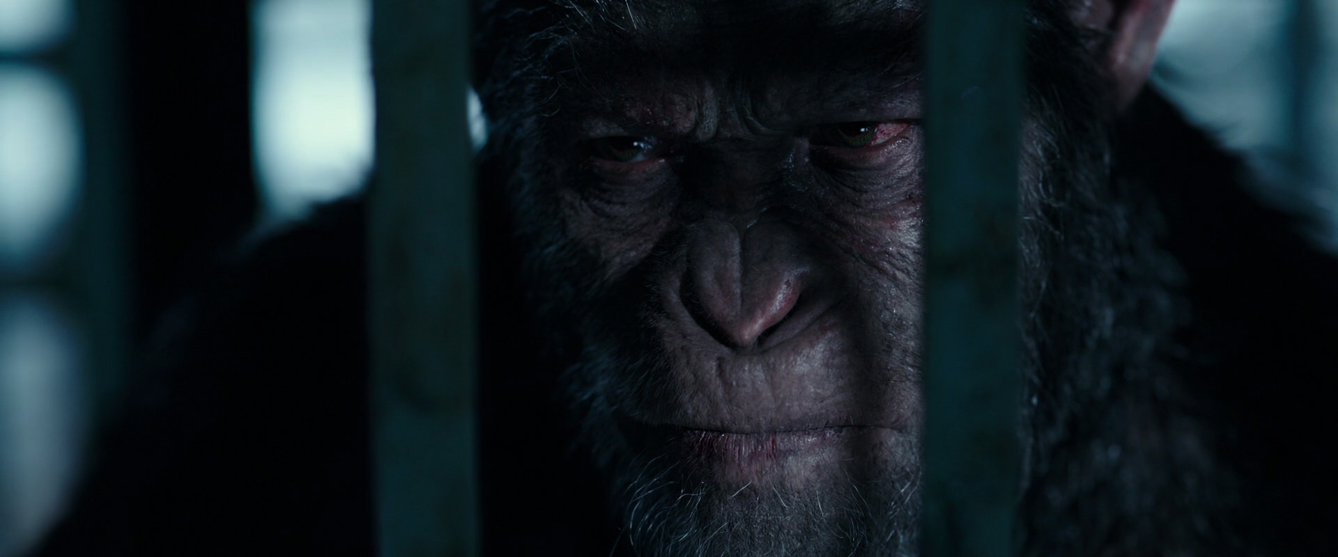 War for the Planet of the Apes (2017) screencap 11472