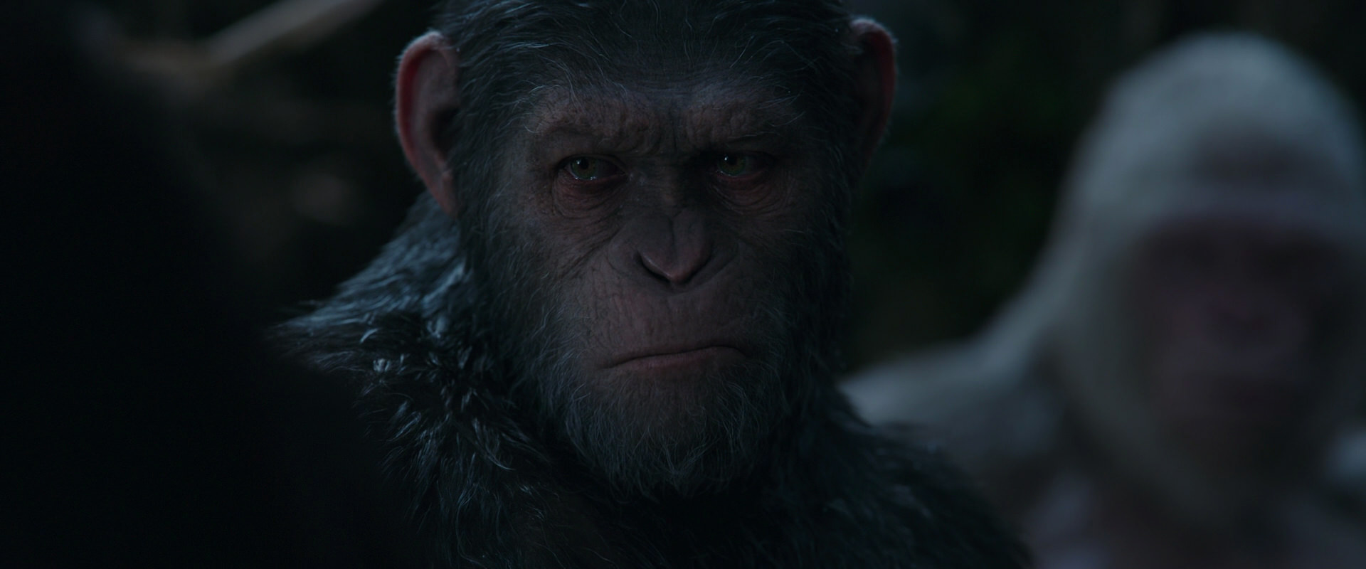 War for the Planet of the Apes (2017) HD screenshot 1148