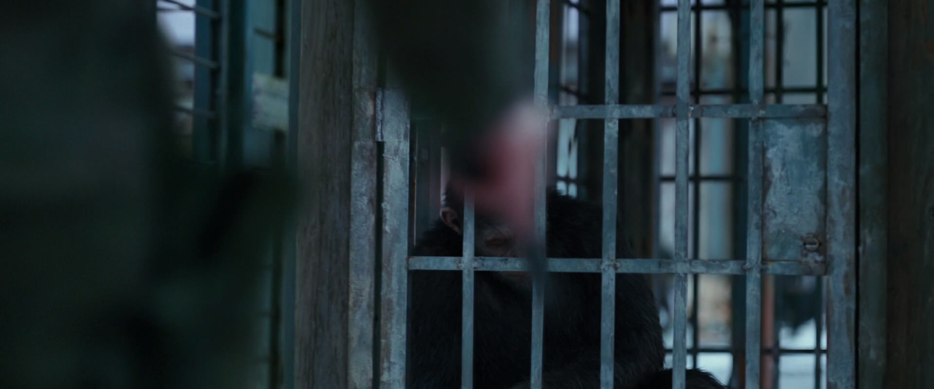 War for the Planet of the Apes (2017) movie still 11494