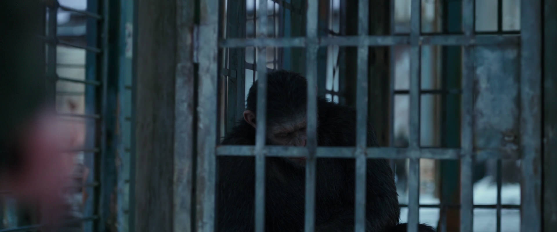 War for the Planet of the Apes (2017) HD screenshot 11495