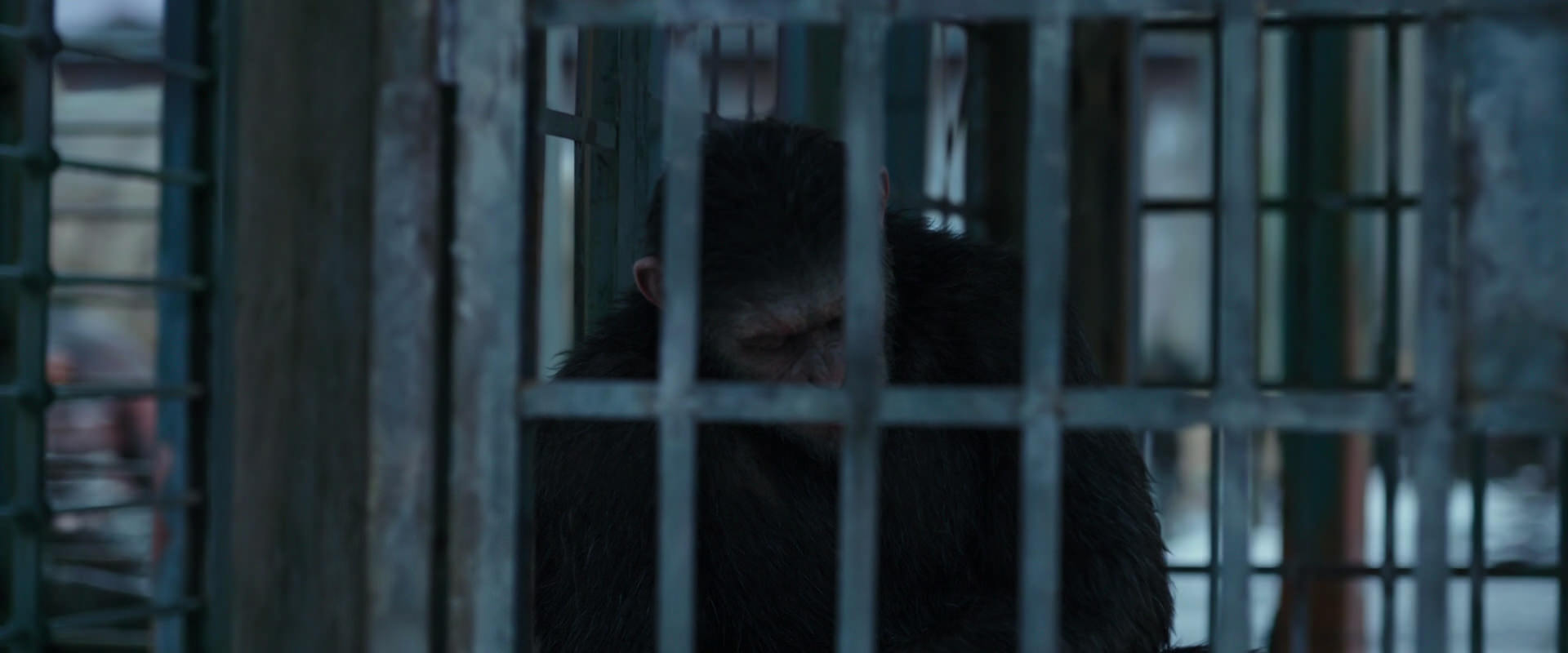 War for the Planet of the Apes (2017) screencap 11496