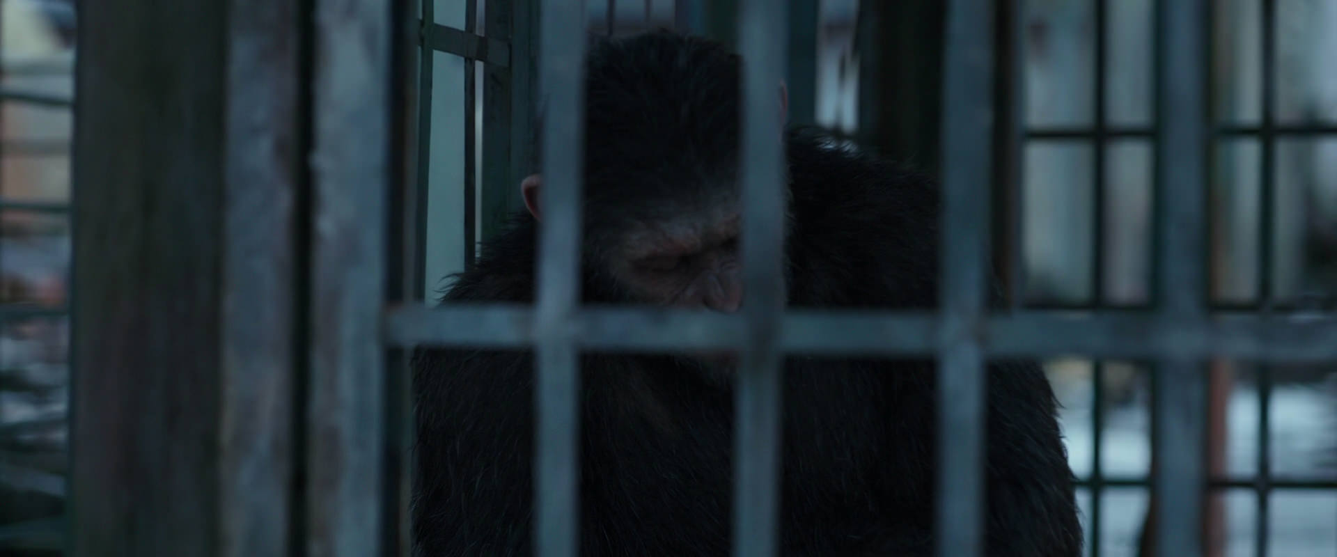 War for the Planet of the Apes (2017) movie still 11497