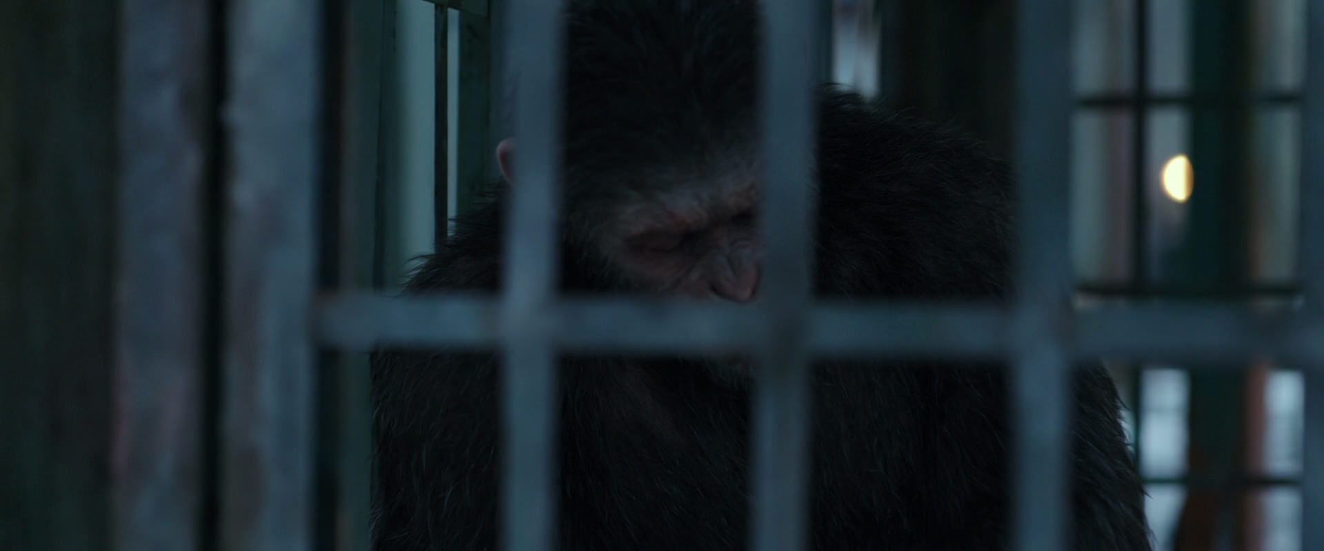 War for the Planet of the Apes (2017) HD screenshot 11498
