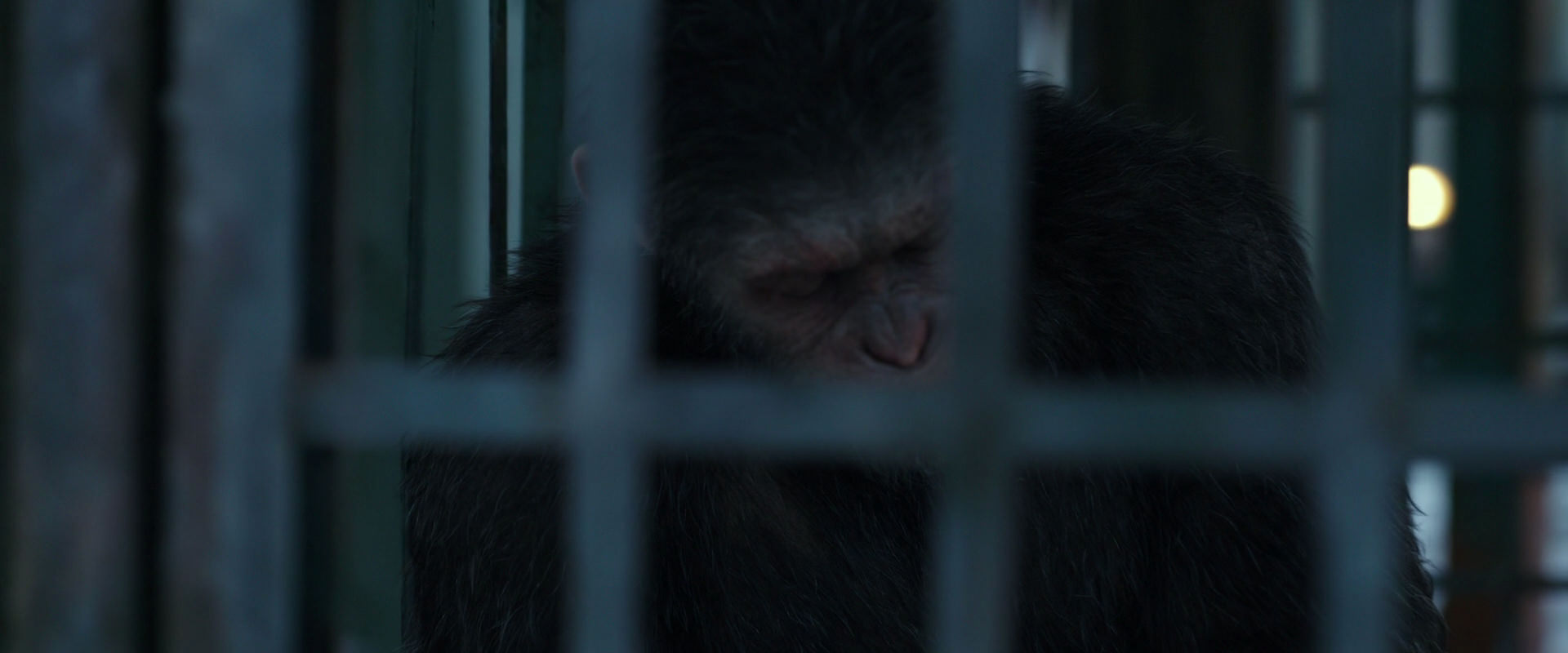 War for the Planet of the Apes (2017) screencap 11499