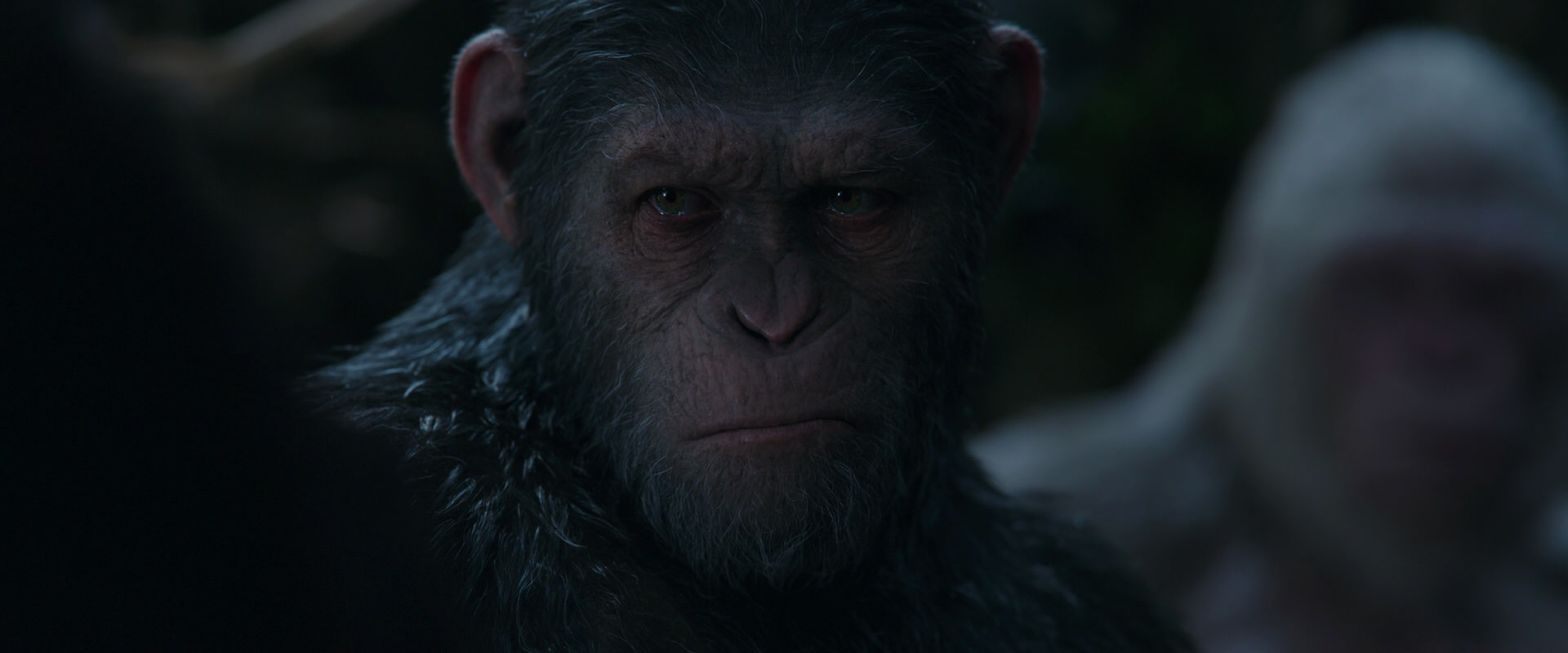 War for the Planet of the Apes (2017) movie still 1150