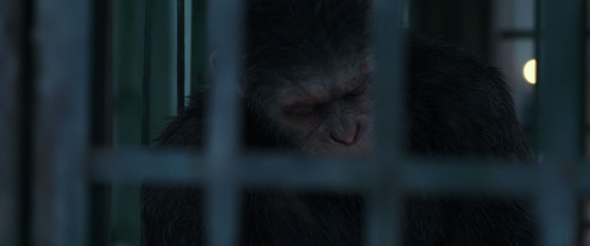 War for the Planet of the Apes (2017) movie still 11500