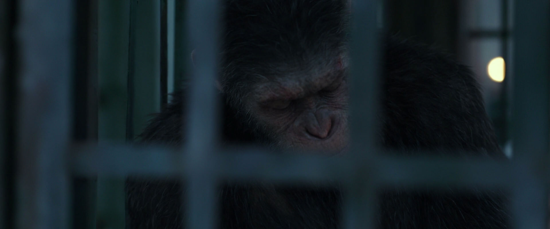 War for the Planet of the Apes (2017) HD screenshot 11501